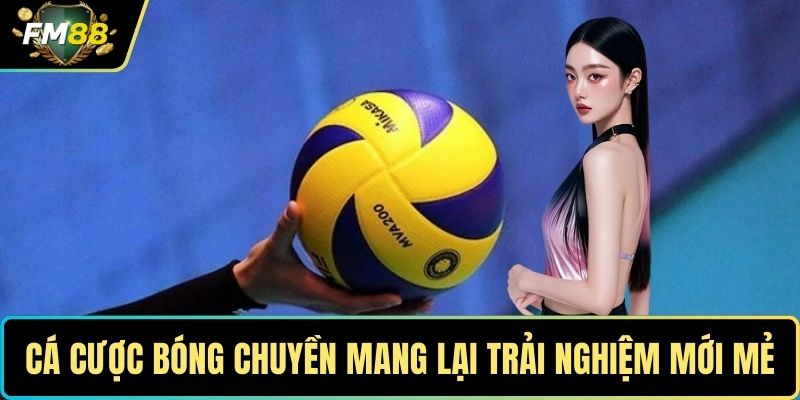 Cá cược bóng chuyền mang lại trải nghiệm mới mẻ