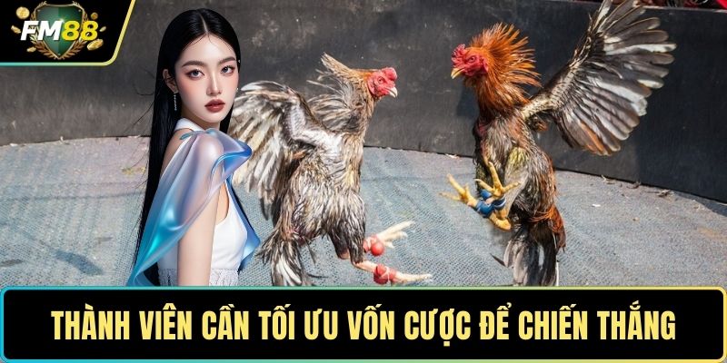 Thành viên cần tối ưu vốn cược để chiến thắng